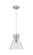 Downtown Urban One Light Pendant in Satin Nickel (405|410-1PM-SN-G411-10SDY)