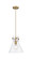 Downtown Urban One Light Pendant in Brushed Brass (405|410-1PM-BB-G411-10CL)