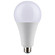 Light Bulb in Frost (230|S11482)