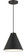 Vantage Pendants One Light Hanging Lantern in Coal (7|6201-66A)