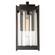 Cela One Light Outdoor Wall Sconce in Coastal Natural Iron (39|302021-SKT-20-GG0730)