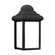 Mullberry Hill One Light Outdoor Wall Lantern in Black (1|8988EN3-12)