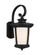 Eddington One Light Outdoor Wall Lantern in Black (1|8719301-12)