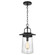 Tybee One Light Outdoor Pendant in Black (1|6208901-12)