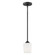 Windom One Light Mini-Pendant in Midnight Black (1|6102801-112)