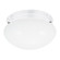 Webster Two Light Flush Mount in White (1|5328-15)