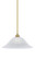 Stem One Light Pendant in New Age Brass (200|72-NAB-5881)