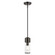 Quincy One Light Mini Pendant in Black Chrome (107|17140-46)