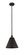Edison One Light Mini Pendant in Matte Black (405|616-1S-BK-MBC-12-BK)