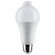 Light Bulb in Frost (230|S11446)