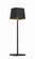 Task Portables LED Table Lamp in Coal (42|P1665-66A-L)