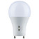 Light Bulb in Frost (230|S11795)
