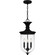 Havana Three Light Outdoor Hanging Lantern in Earth Black (10|HVN1910EK)