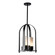 Triomphe Four Light Outdoor Lantern in Coastal Black (39|364030-SKT-MULT-80-GG0392)