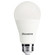 Preferred Light Bulb in Frost (427|774286)