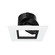 Aether 2'' LED Light Engine in Black/White (34|R2ASAT-N927-BKWT)