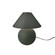 Portable Two Light Portable in Pewter Green (102|CER-2540-PWGN)