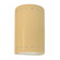Ambiance One Light Outdoor Wall Sconce in Muted Yellow (102|CER-0990W-MYLW)
