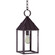 Winnicutt One Light Hanging Lantern in Dark Brass (196|11942-DB-MED-CSG)