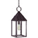 Winnicutt One Light Hanging Lantern in Dark Brass (196|11942-DB-MED-CLR)