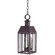 Nottingham Two Light Hanging Lantern in Dark Brass (196|11732-DB-LT2-CSG)