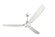 Velocity 58'' Ceiling Fan in White (46|VE58W3)
