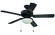 Enduro Plastic with Light Kit 52'' Ceiling Fan in Matte Black (46|END52MBK5PC1)