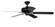 Enduro Plastic 52'' Ceiling Fan in Matte Black (46|END52MBK5P)