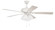 Eos Frost 4 Light 52'' Ceiling Fan in White (46|ECF114W5-WWOK)