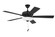 Eos 3 Light Bowl 52'' Ceiling Fan in Flat Black (46|ECF111FB5-FBGW)