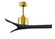 Mollywood 42'' Ceiling Fan in Brushed Brass (101|MW-BRBR-BK-42)