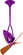 Jarold Direcional 16'' Ceiling Fan in Ametista (101|JD-LTPURPLE-WD)
