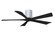 Irene-5H 52'' Ceiling Fan in Gloss White (101|IR5H-WH-BK-52)