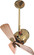 Bianca Direcional 16'' Ceiling Fan in Polished Brass (101|BD-PB-WD)
