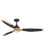 Aileron 60''Ceiling Fan in Matte Black (13|906760FMB-LDD)