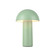 Setas LED Table Lamp in Sage Green (347|TL65210-GN)