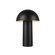Setas LED Table Lamp in Black (347|TL65210-BK)