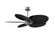 Alessandra Tropical 48'' Ceiling Fan in Brushed Nickel (101|AKTP-BN-BK)