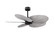 Alessandra Tropical 48'' Ceiling Fan in Matte Black (101|AKTP-BK-BW)