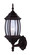 Outdoor One Light Outdoor Lantern in Oil Rubbed Bronze (387|IOL73T13)