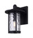 Leon One Light Outdoor Lantern in Black (387|IOL567BK)