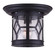 Atlanta One Light Outdoor Downlight in Black (387|IOL207BK)