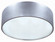 Dexter Two Light Flush Mount in Aluminum (387|IFM318A13AL)