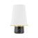 Central Valley LED Table Lamp in Aged Brass (70|L4751-AGB)