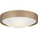 Quoizel Flush Mount LED Flush Mount in Bronze Gold (10|QFL6790BGD)