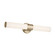 Sashi LED Linear Bath in Champagne Bronze (12|55192CPZLED)