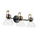 Farum Three Light Bath in Black (12|55155BKCLR)