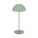 Channing LED Table Lamp in Green (34|TL-W251511-CS-GR)