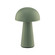 Darla LED Table Lamp in Green (34|TL-W251209-CS-GR)