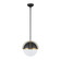 Dahlia One Light Pendant in Black, Brushed Brass (78|AC12040BB)
